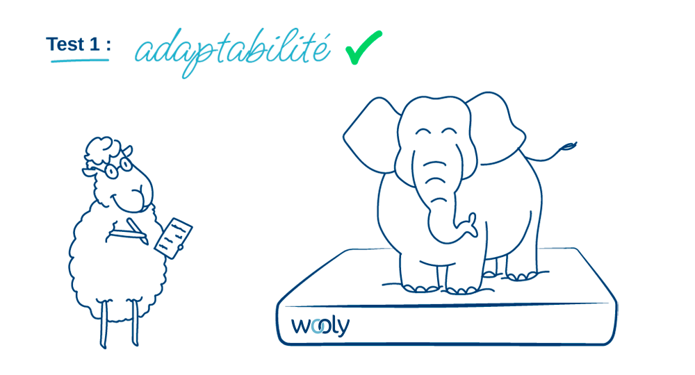 Caractéristiques Wooly Bedding test 1 adaptabilité