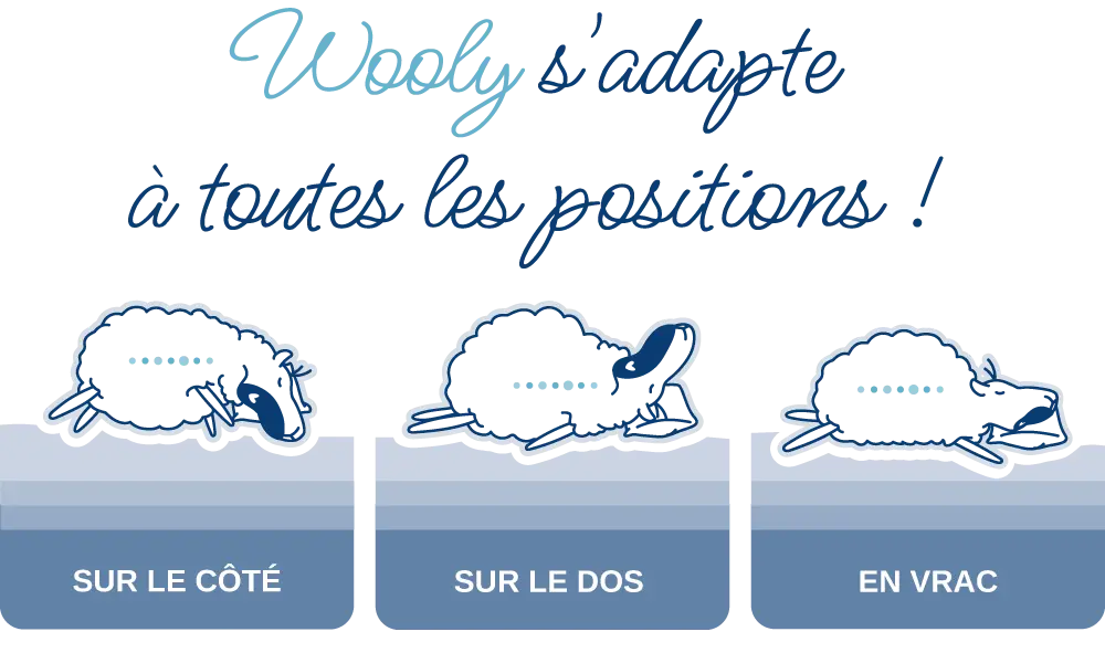 Caractéristiques Wooly Bedding adaptabilité pour toutes les morphologies et positions