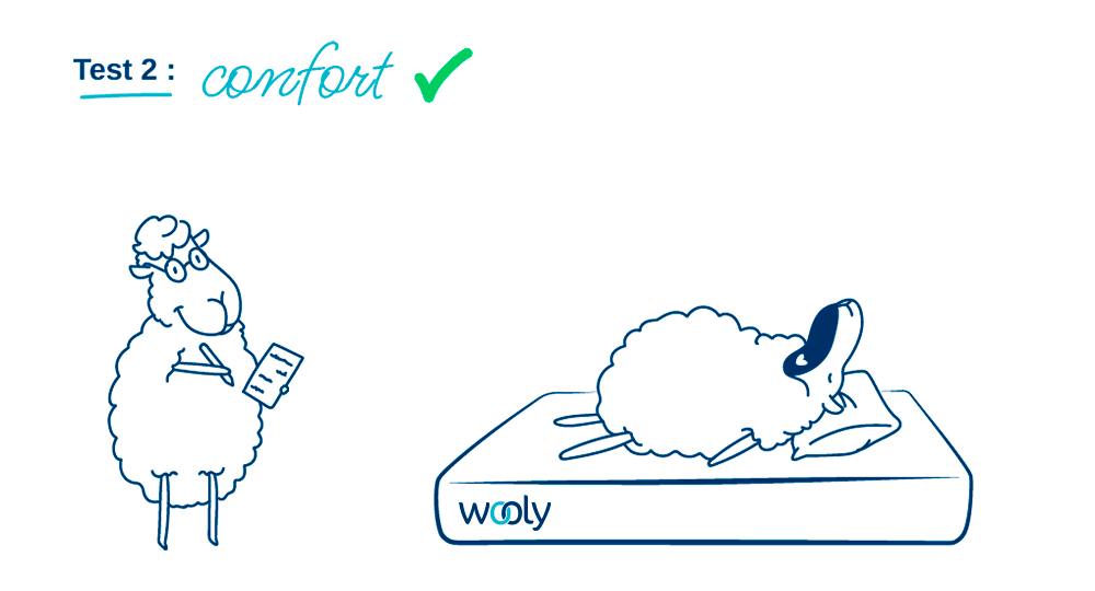 Caractéristiques Wooly Bedding test 2 confort