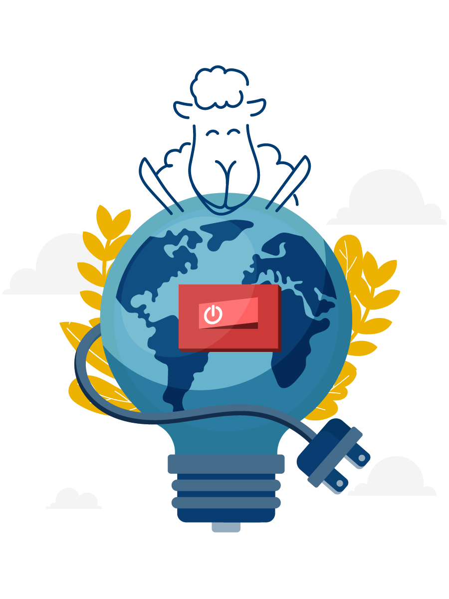 Wooly Bedding utilise des matières premières de manière responsable et avec le moins d'impact possible sur l'environnement.